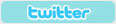 Twitter - BASIKA