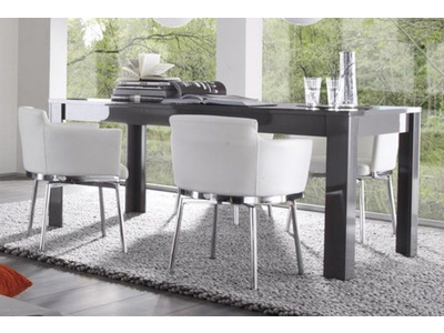 TABLE DE REPAS