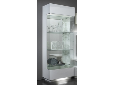VITRINE 1 PORTE