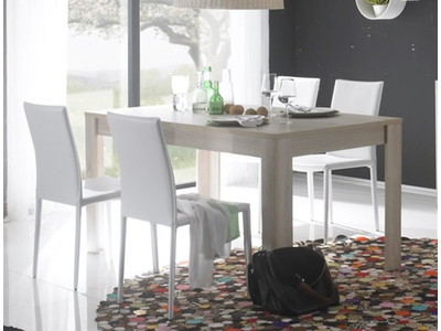 TABLE DE REPAS