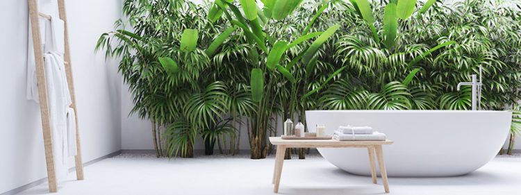 Une décoration jungle pour votre salle de bains !