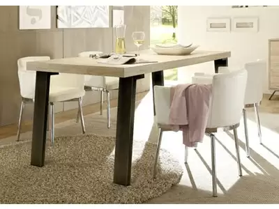 Table de repas avec piètement métal