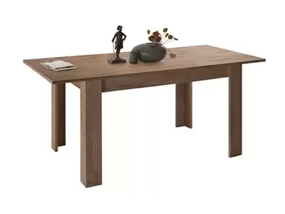 Table de repas extensible
