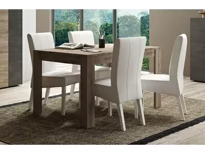 Table de repas fixe