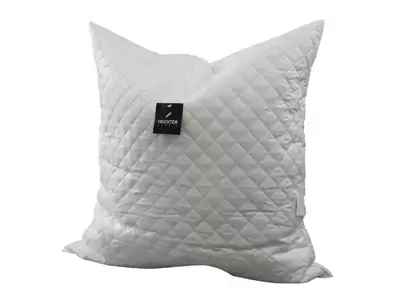 Oreiller  mmoire de forme Daniel echter.