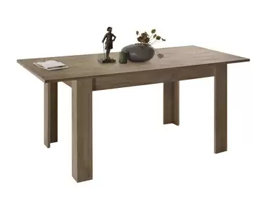 Table de repas extensible