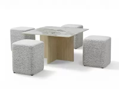 Table basse + 4 poufs