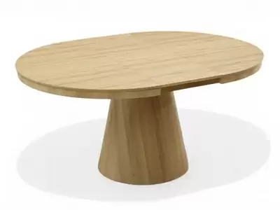 Table de repas extensible