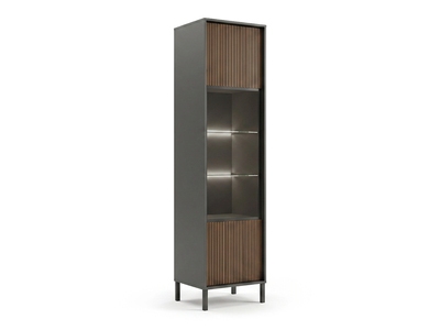 Vitrine 1 porte