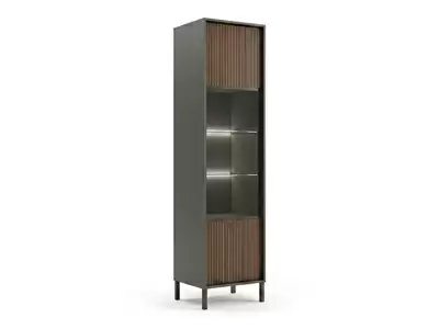 Vitrine 1 porte